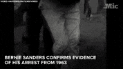 bernie sanders news GIF