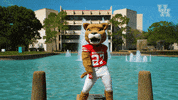 houstoncougars houston sasha gocoogs shasta GIF