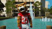 houstoncougars houston sasha gocoogs shasta GIF