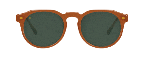 Glasses Sticker by OpolisOptics