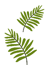 Makeup Naturaleza Sticker by Natura Cosmeticos