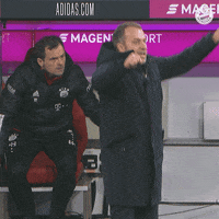 Champions League Reaction GIF by FC Bayern Munich