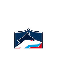 Logo Hockey Sticker by Selber Wölfe