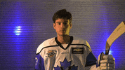 pentictonvees celebration hockey penticton vees junior a hockey GIF