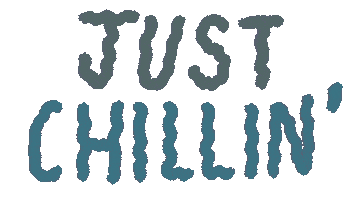 Sticker by Discover ASR