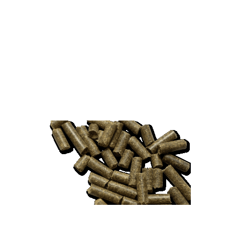 Horse Sticker by Hartog Horsefeed