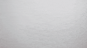 Happy New Year Dragon GIF by Super Simple