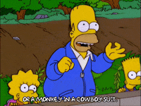 homer simpson GIF