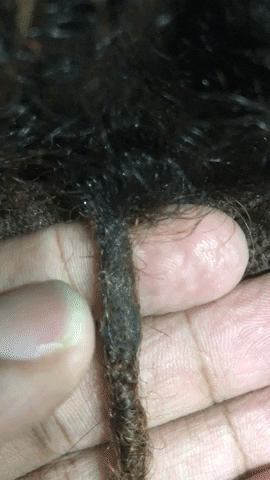 dreads dreadlocks GIF