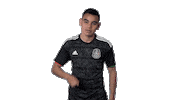 mexico national team football Sticker by MiSelecciónMX