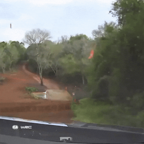 Racing Rallying GIF by FIA World Rally Championship