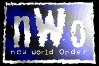 #nwo1b @scotthall @hulkhogan @realkevinnash GIF by @r0to00