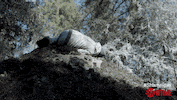 i am a gallagher GIF by Showtime