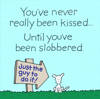 Dogs Love GIF by Chippy the Dog