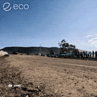 Crypto Cryptocurrency GIF by Eco