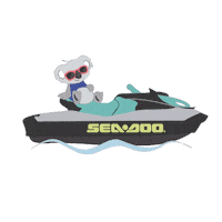 BRP-Brasil praia jetski jet ski seadoo Sticker