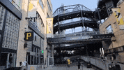 big cat pft GIF by Barstool Sports