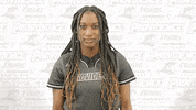 Sport Softball GIF by Providence Friars