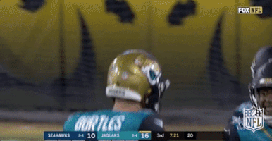 Jacksonville Jaguars Football GIF by NFL