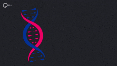 denizserbest8a8b3704798e4db5afdd97e2cf0997ae giphyupload GIF