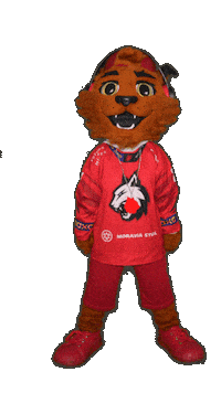 Freddy Hokej Sticker by HC Frýdek-Místek