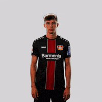 europa league what GIF by Bayer 04 Leverkusen