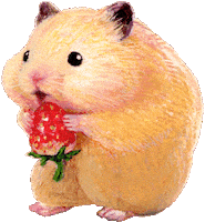 Hamster Eating Sticker