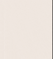 Radio Flashback GIF by Saudade FM