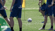 GIF by SV Werder Bremen