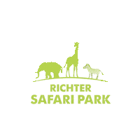 RichterSafariPark safaripark jozsefrichter richterjozsef richtersafaripark Sticker