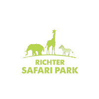 RichterSafariPark richter safaripark jozsefrichter richterjozsef Sticker