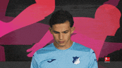 Tsg Hoffenheim Football GIF by Bundesliga