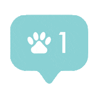 Paw Print Sticker by Wags and Walks