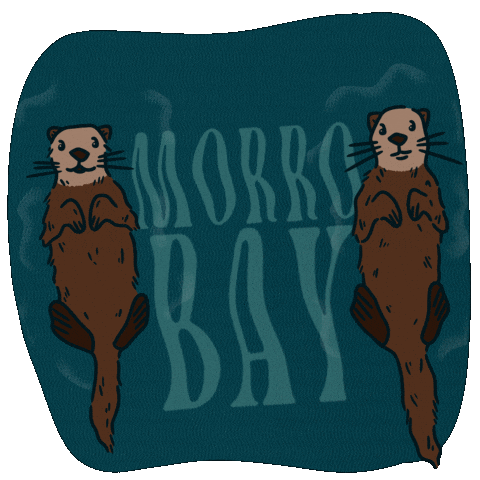 VisitMorroBayCA otters sea otters morro bay morrobay GIF