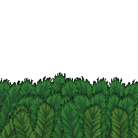 Hide And Seek Hello Sticker by Pudgy Penguins