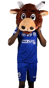 Sport Celebration Sticker by ROC Aveyron Handball
