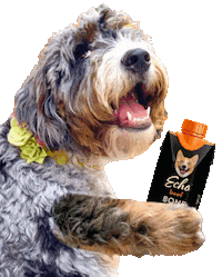 Bone Broth Drinking Sticker