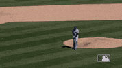 major league baseball sport GIF by MLB