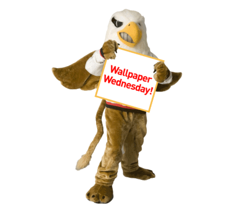 Seton Hill Wednesday Sticker by Seton Hill University