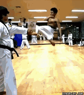 guy karate GIF