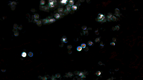 video art water GIF by J. Robinson