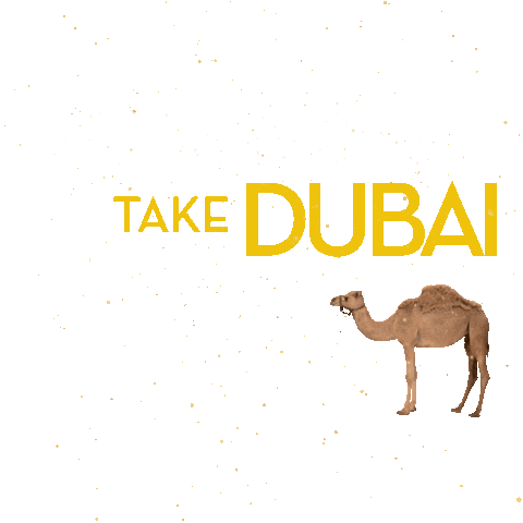 Dubai Sticker by Flying Dana
