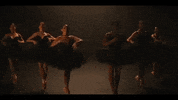 Ballet Ballerina GIF by OneRepublic