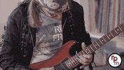 rock-n-popmuseum-NL music rock guitar metal GIF