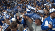 Football Soccer GIF by FC Schalke 04
