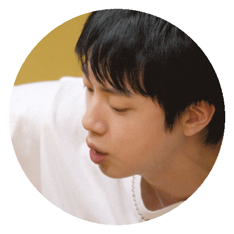 Jin 진 Sticker by Netflix Korea