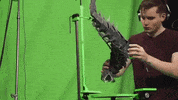 Kevin Parry GIF by Cinecom.net
