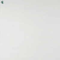 Go Green Womens Soccer GIF by Michigan State Athletics