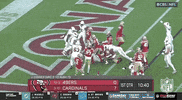 National Football League GIF by NFL