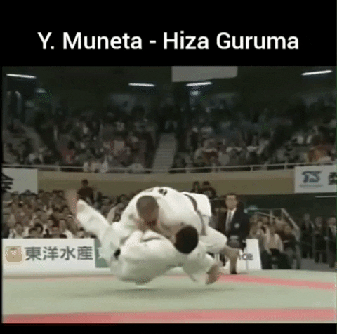  GIF